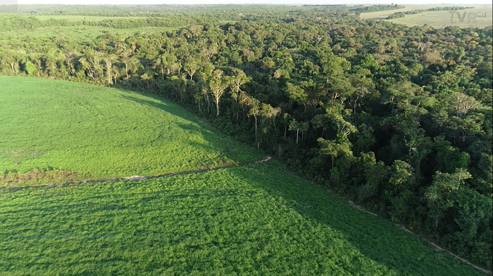 Cientistas brasileiros desenvolvem protocolo para monitorar emissões de GEE na agricultura